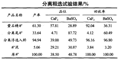 分離粗選試驗結果 分離粗選試驗結果